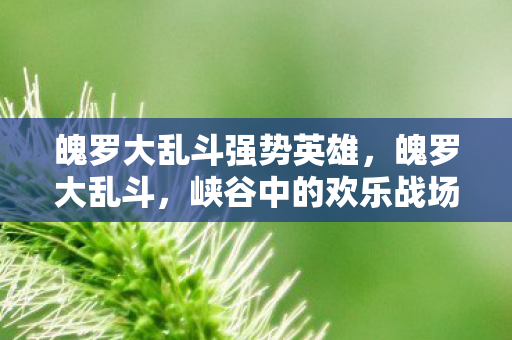 魄罗大乱斗强势英雄图片