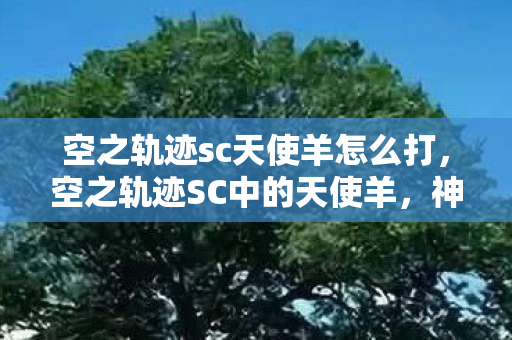 空之轨迹sc天使羊怎么打图片