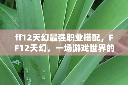 ff12天幻最强职业搭配图片