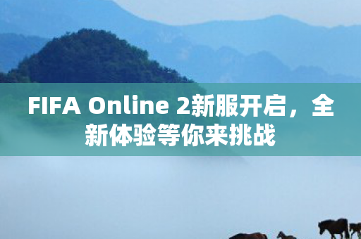 FIFA Online 2新服开启图片