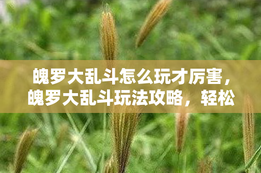 魄罗大乱斗怎么玩才厉害图片