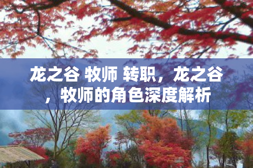 龙之谷 牧师 转职图片