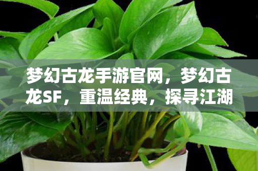 梦幻古龙手游官网图片