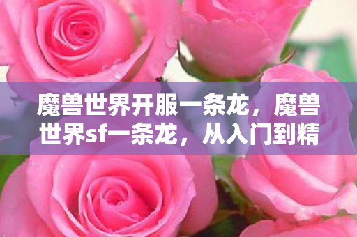 从入门到精通的全方位解析图片