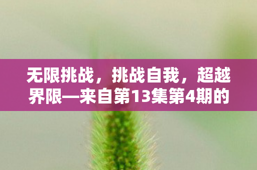 来自第13集第4期的启示图片