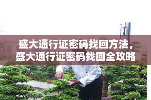 盛大通行证密码找回全攻略图片