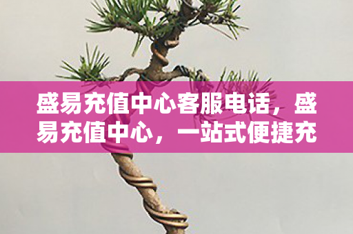 盛易充值中心客服电话图片