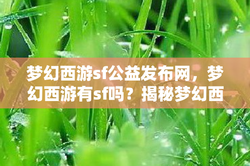 梦幻西游sf公益发布网图片
