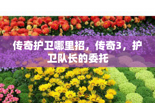 传奇护卫哪里招图片