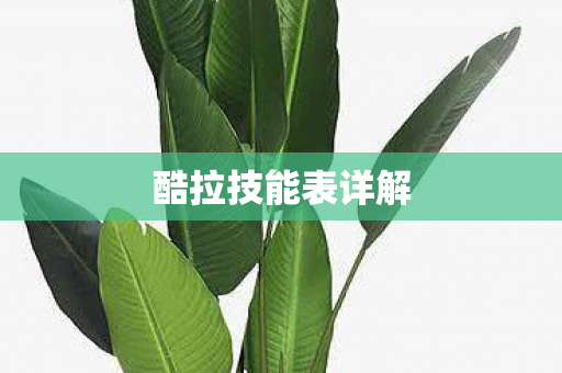 酷拉技能表详解图片