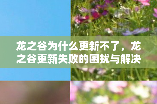 龙之谷更新失败的困扰与解决方案图片