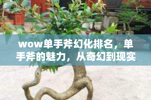 wow单手斧幻化排名图片