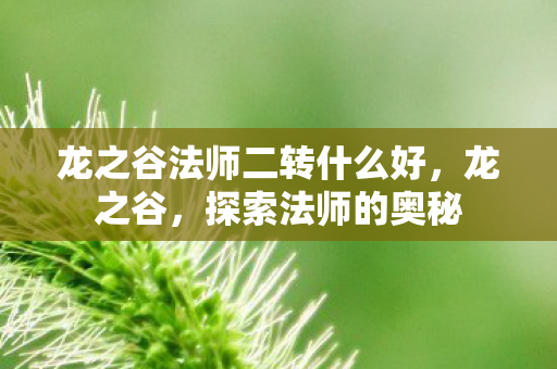 龙之谷法师二转什么好图片