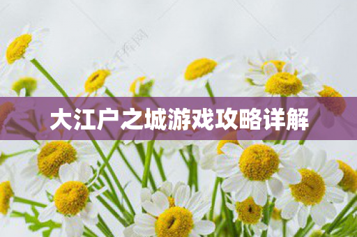 大江户之城游戏攻略详解图片