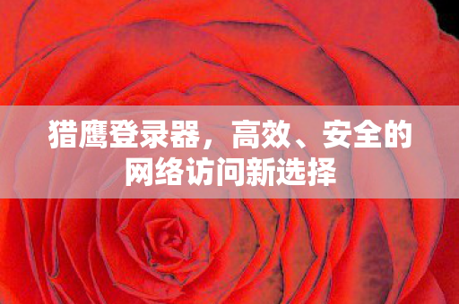 安全的网络访问新选择图片