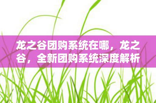 全新团购系统深度解析图片