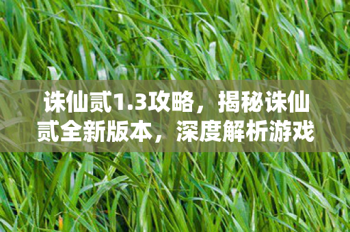 深度解析游戏内容与特色亮点图片