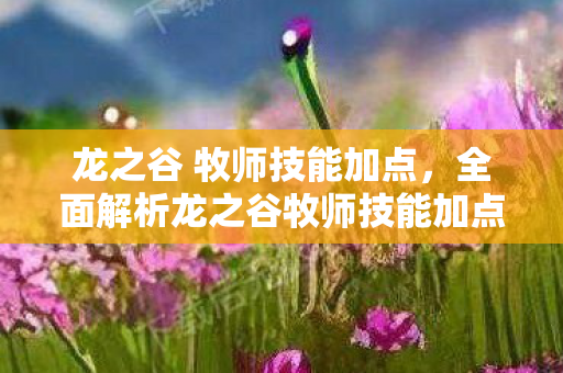 全面解析龙之谷牧师技能加点策略图片