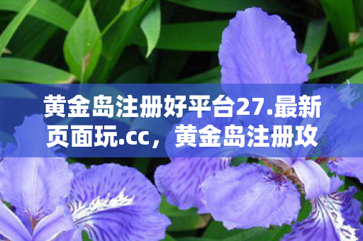 黄金岛注册攻略及体验分享图片