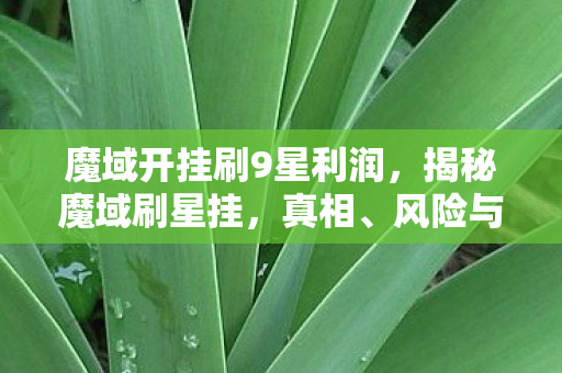 魔域开挂刷9星利润图片