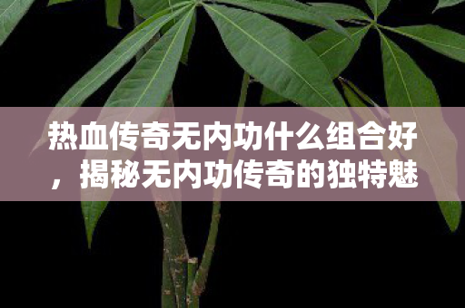 揭秘无内功传奇的独特魅力与玩法体验图片