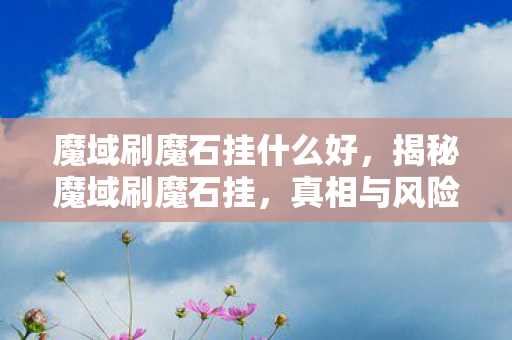 魔域刷魔石挂什么好图片