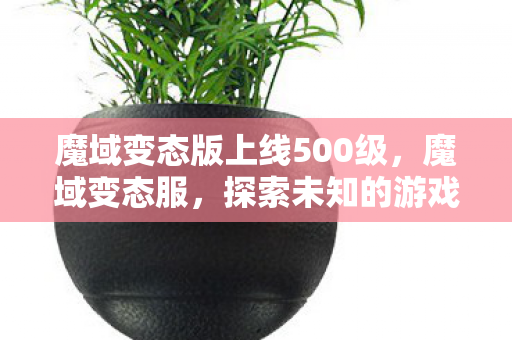 魔域变态版上线500级图片