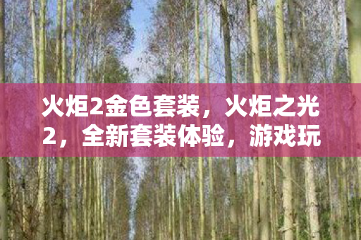 游戏玩家的福音之选图片