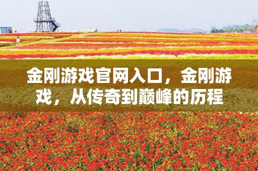 从传奇到巅峰的历程图片