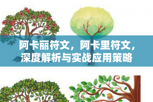 深度解析与实战应用策略图片