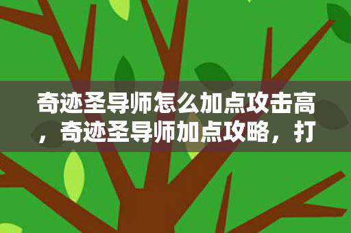 奇迹圣导师怎么加点攻击高图片