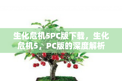 生化危机5PC版下载图片