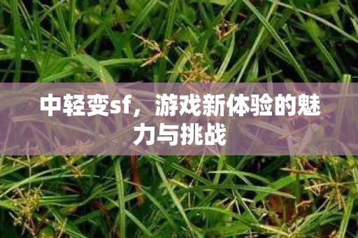 游戏新体验的魅力与挑战图片