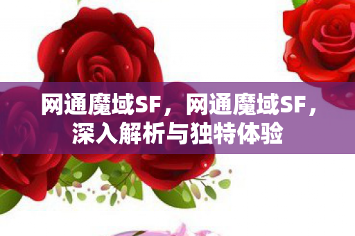 深入解析与独特体验图片