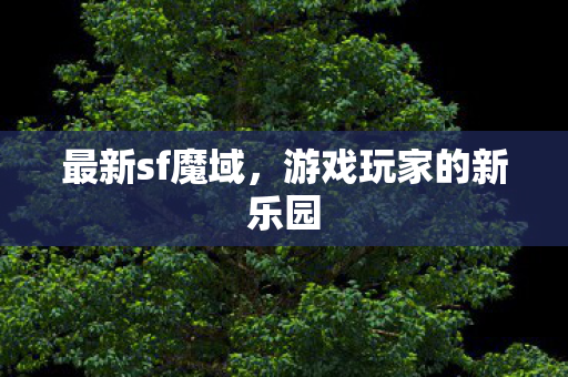 游戏玩家的新乐园图片