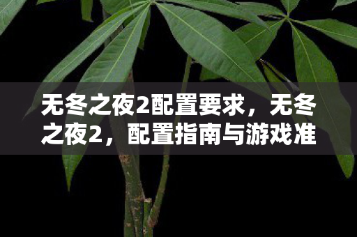 无冬之夜2配置要求图片