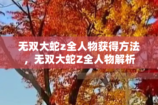 无双大蛇z全人物获得方法图片