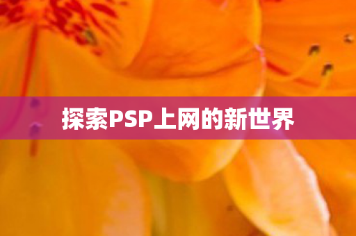 探索PSP上网的新世界图片