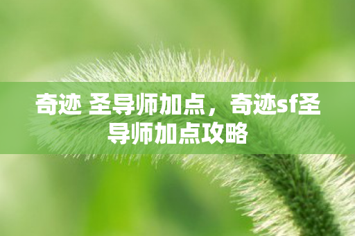 奇迹sf圣导师加点攻略图片