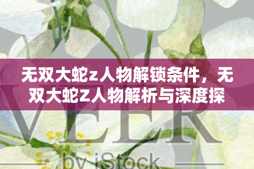 无双大蛇Z人物解析与深度探讨图片