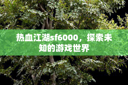 热血江湖sf6000图片