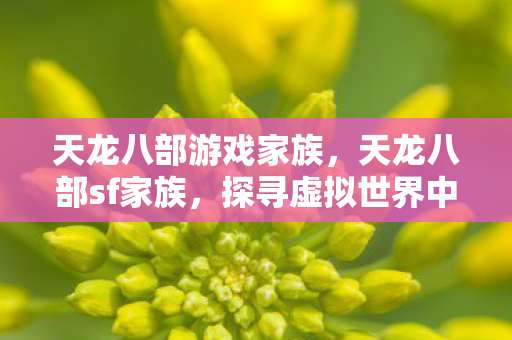探寻虚拟世界中的荣耀与传奇图片