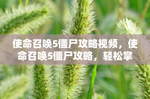 使命召唤5僵尸攻略视频图片