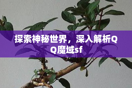 深入解析QQ魔域sf图片