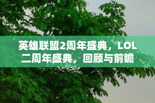 英雄联盟2周年盛典图片