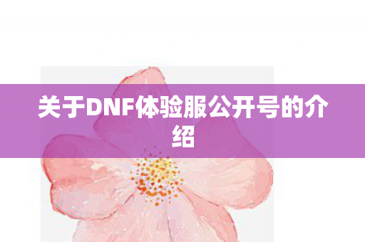 关于DNF体验服公开号的介绍图片