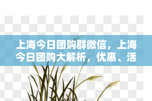 上海今日团购群微信图片