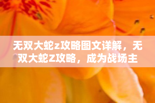 无双大蛇z攻略图文详解图片