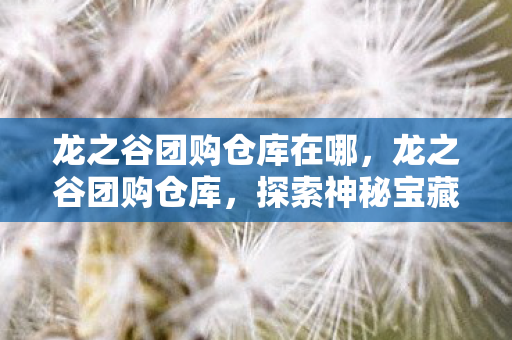 探索神秘宝藏的绝佳场所图片