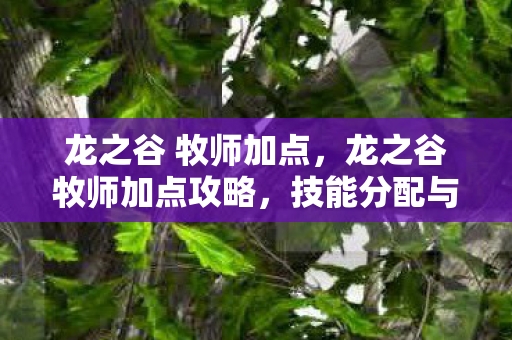 龙之谷牧师加点攻略图片